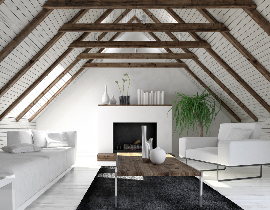 loftconversion1